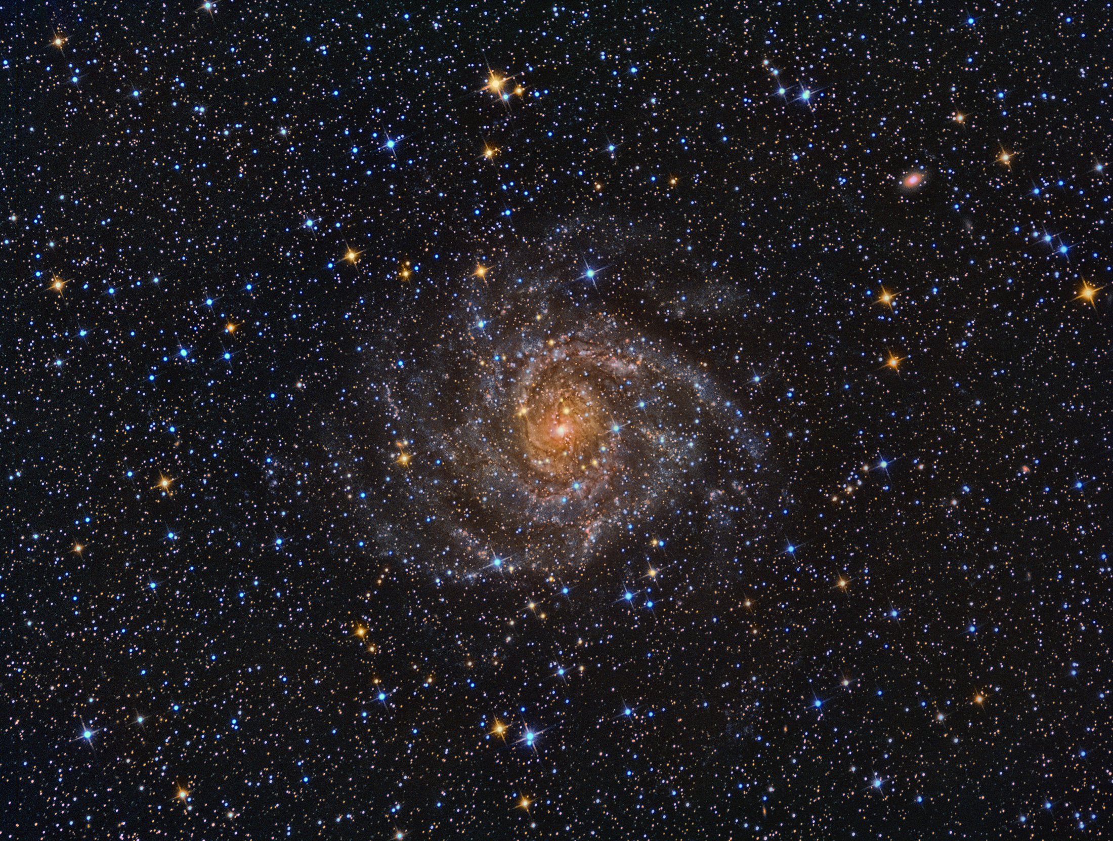 IC 342 hidden galaxy