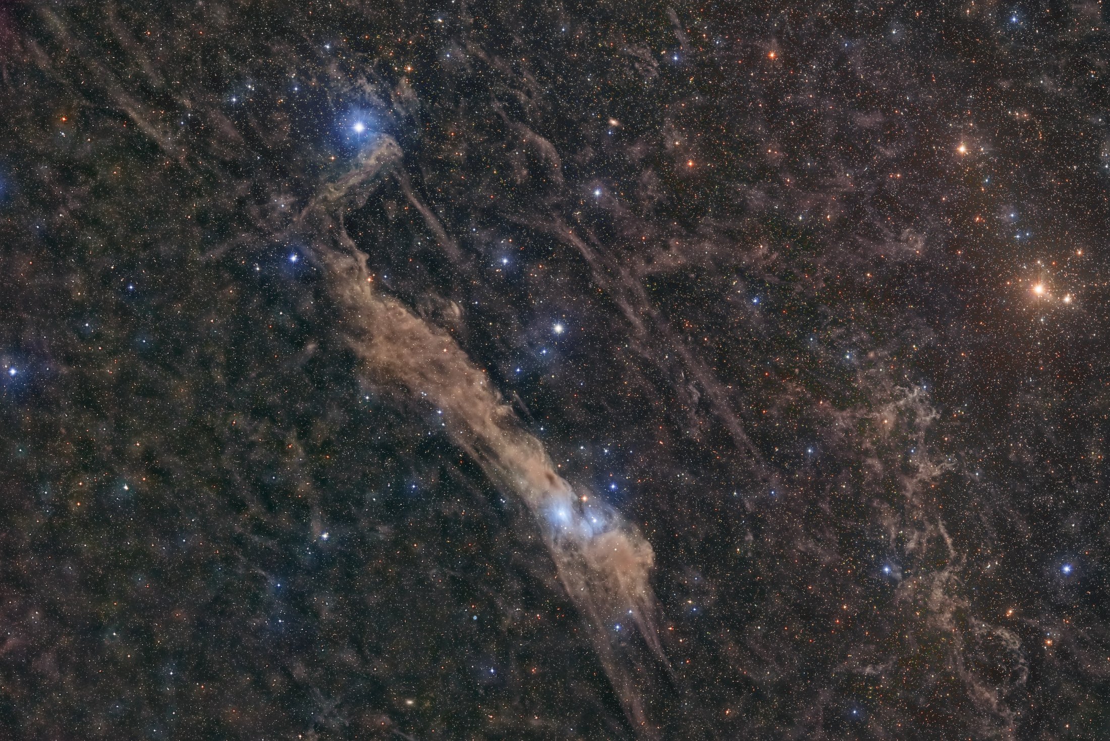 LBN534 50
