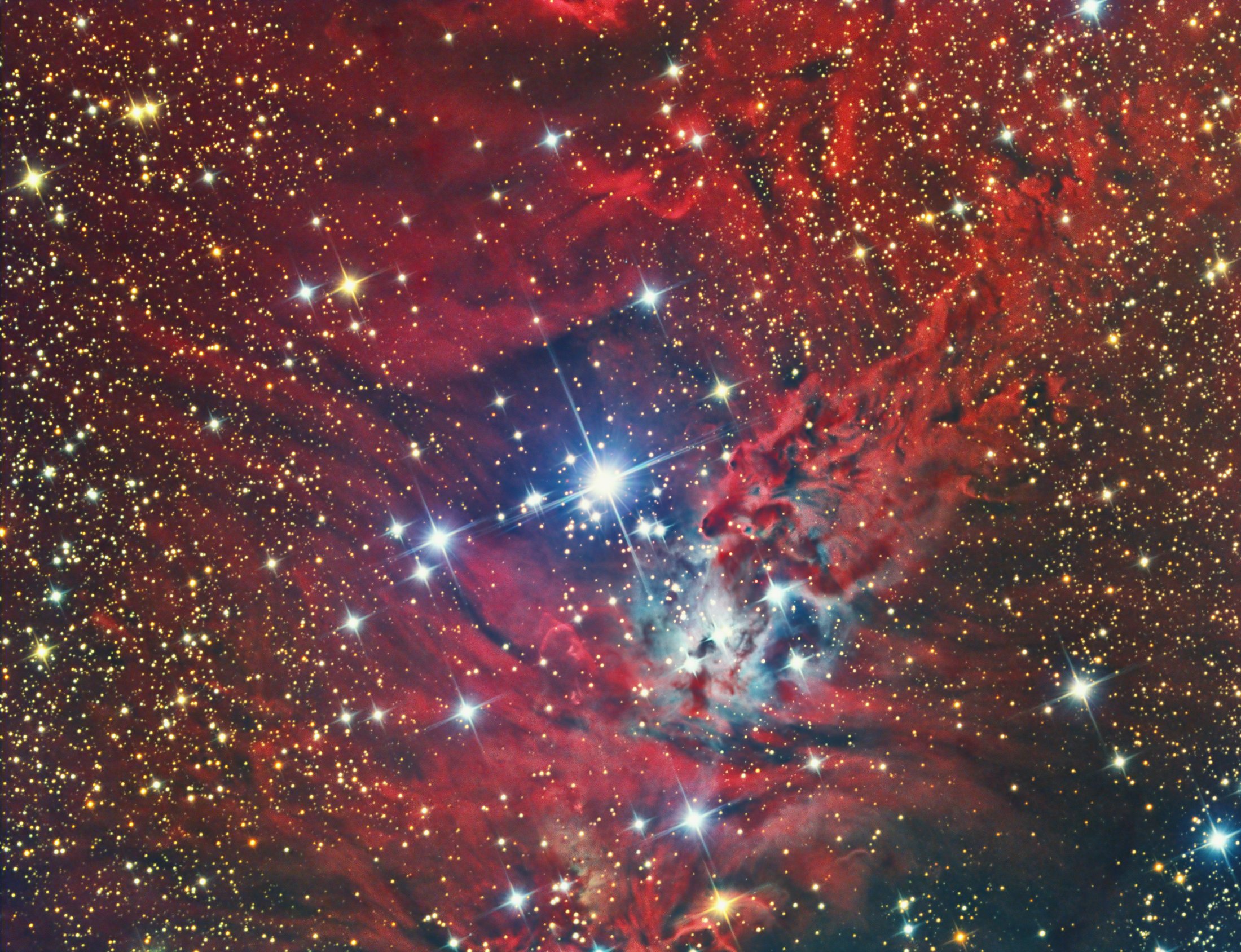 NGC 2264 Cone Nebula and the Christmas Tree Cluster