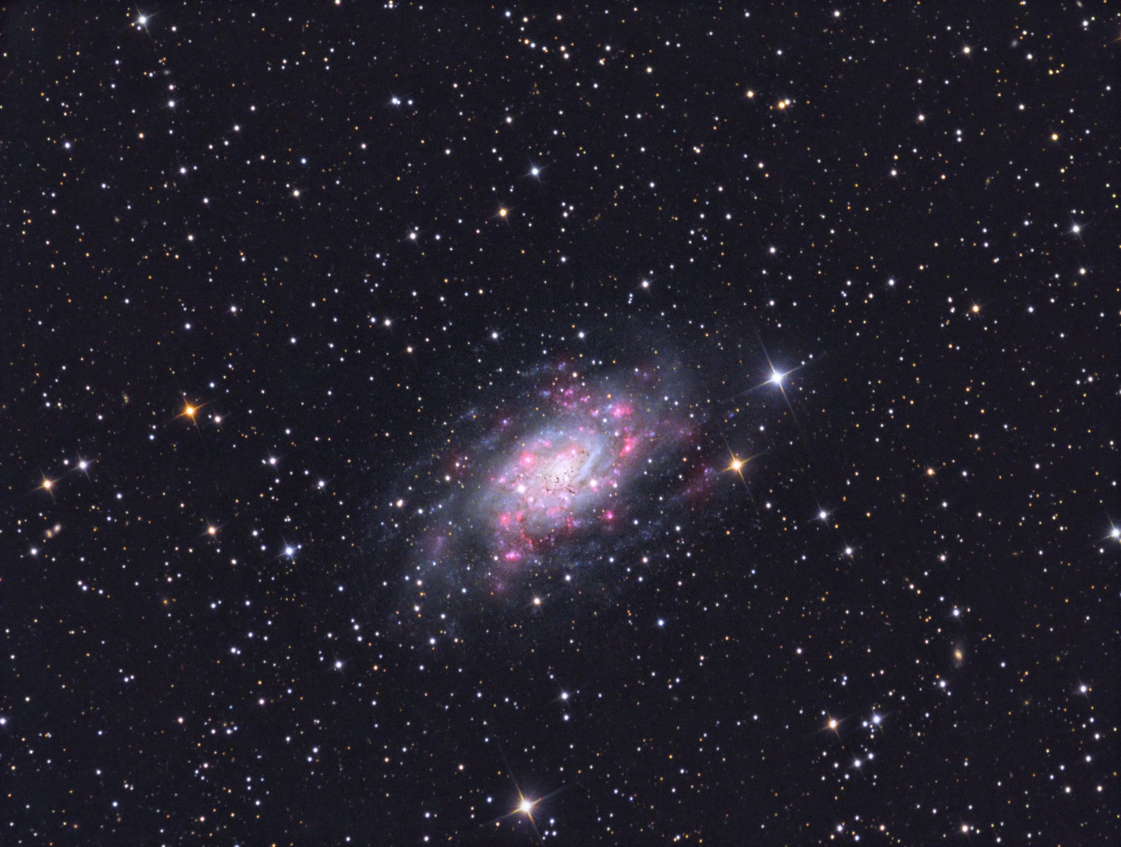 NGC 2403 iintermediate spiral galaxy in constellation Camelopardalis