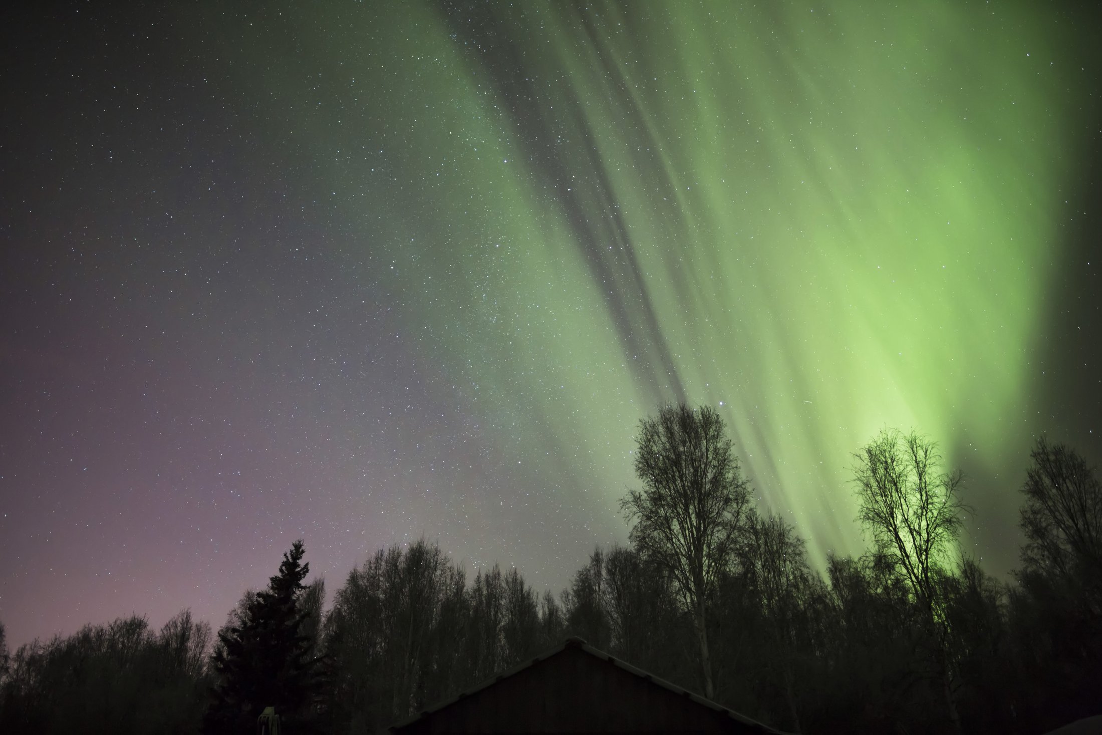 Aurora in Fairbanks, Alaska