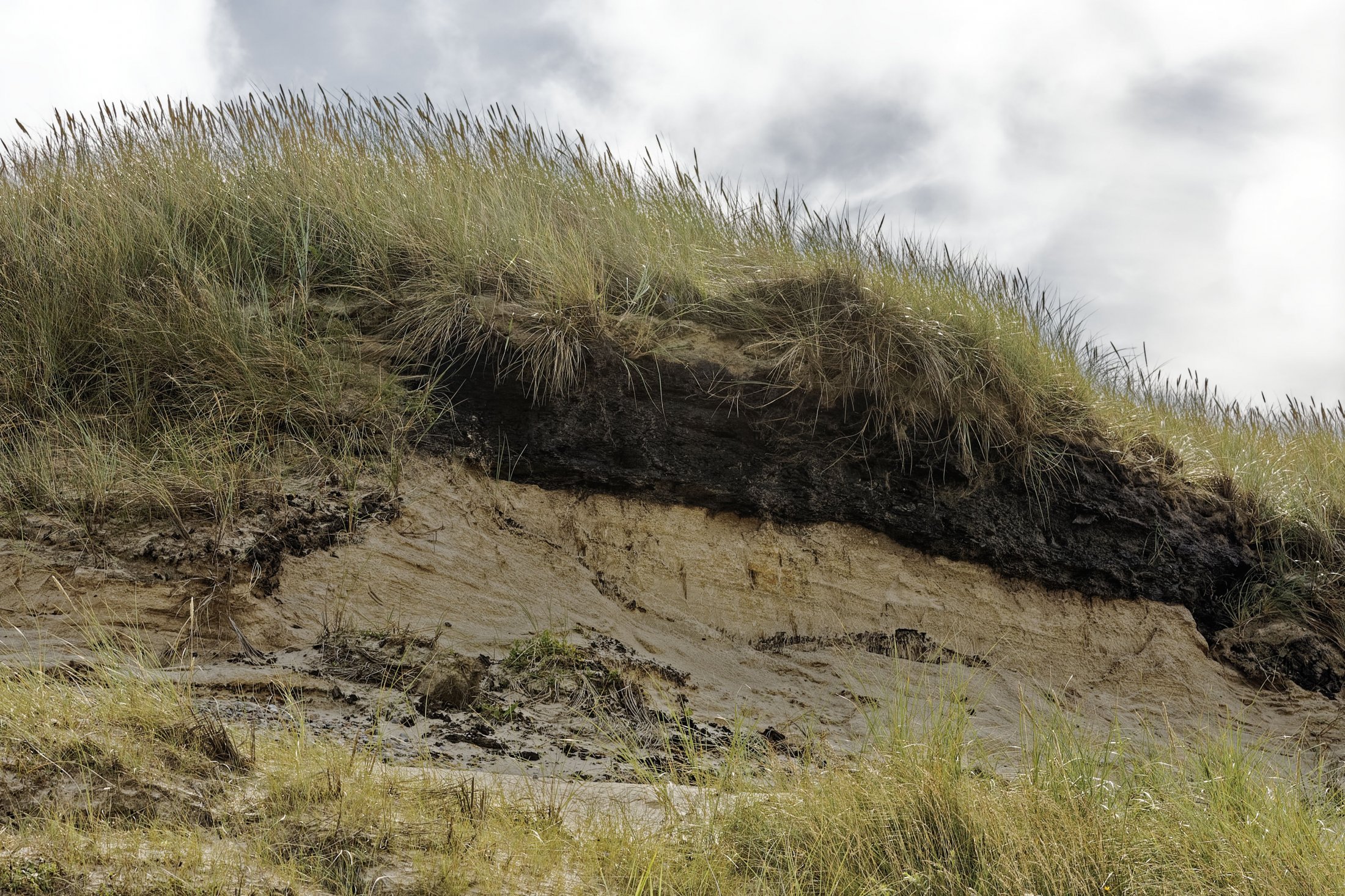 Skagen