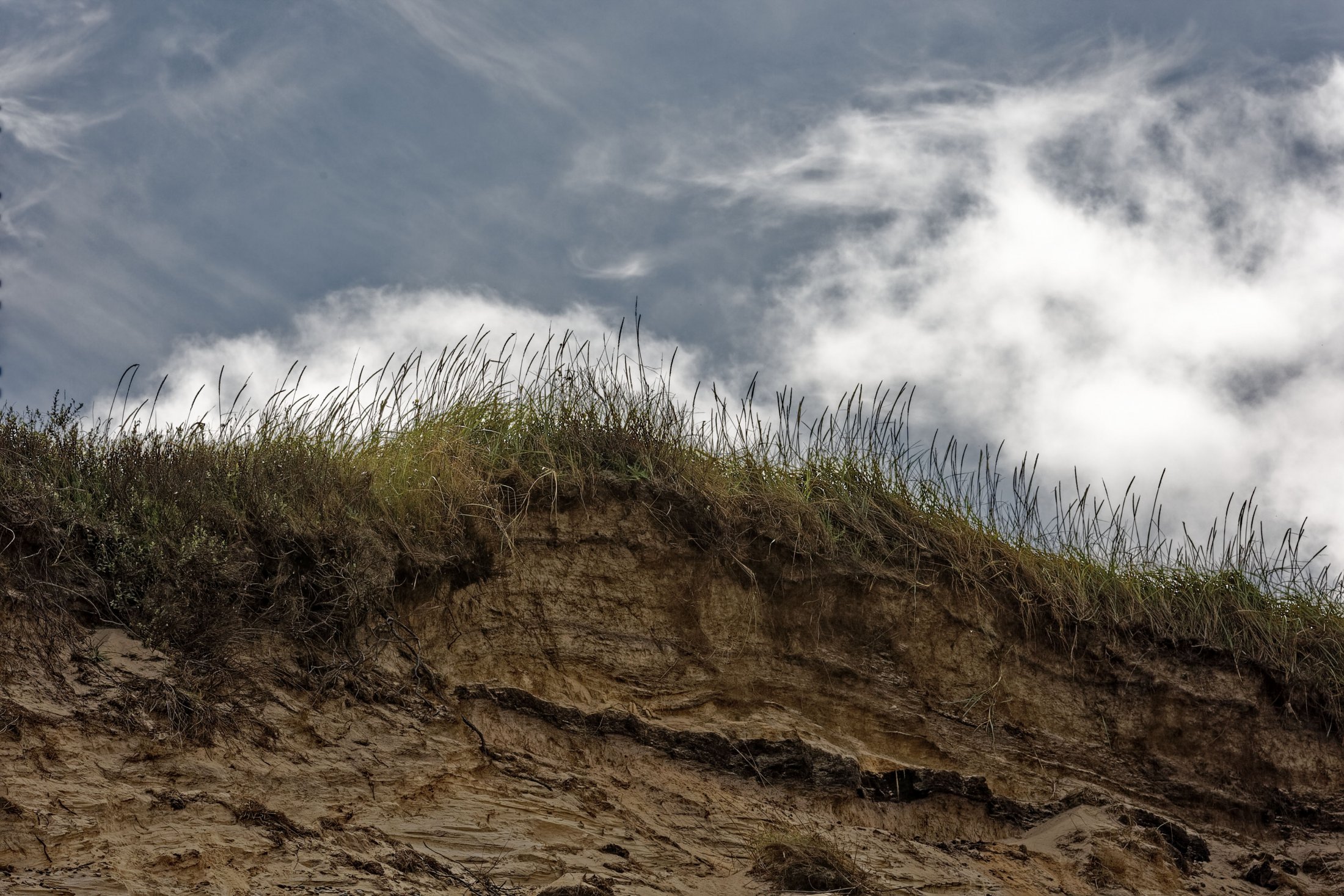 Skagen