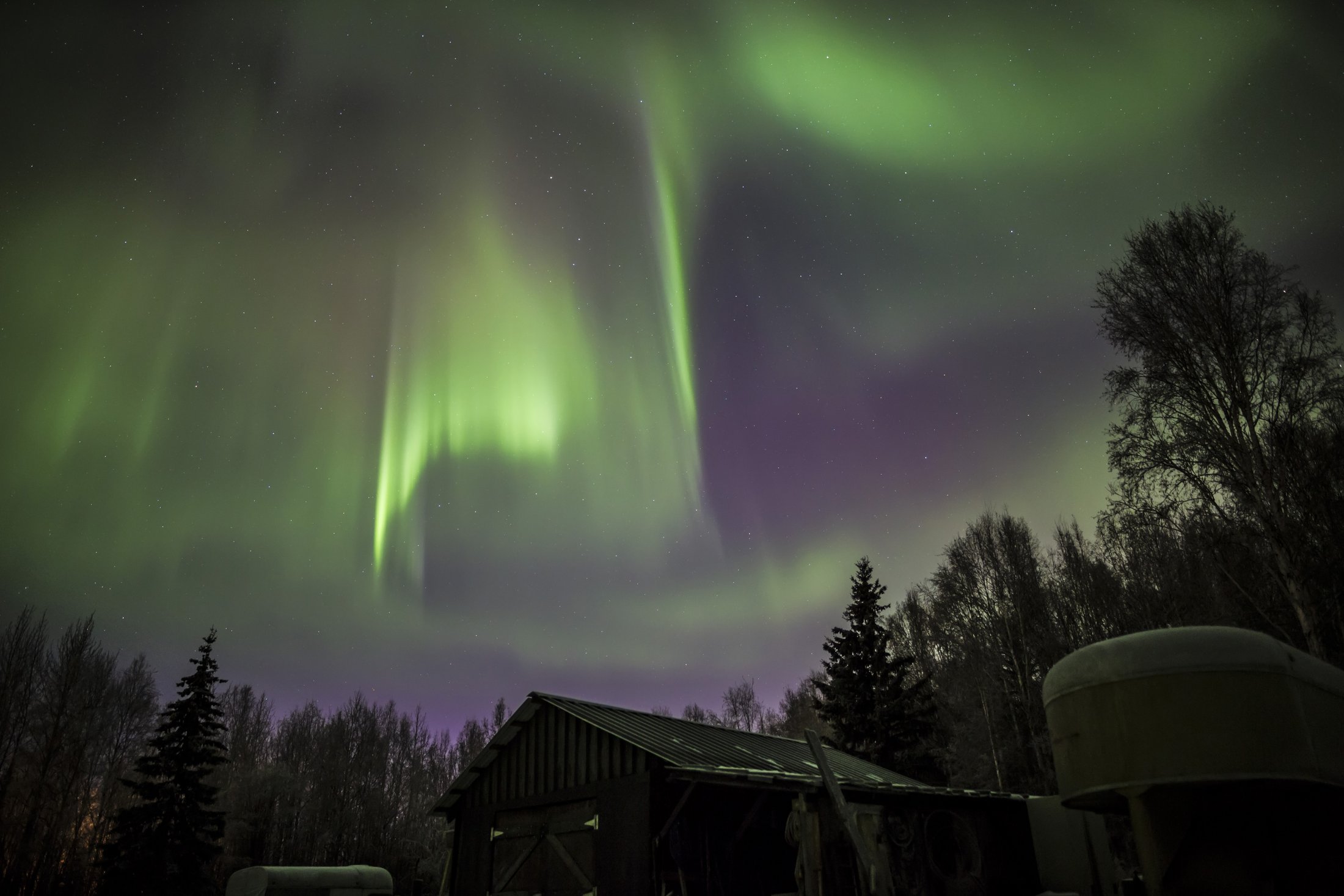 Aurora in Fairbanks, Alaska