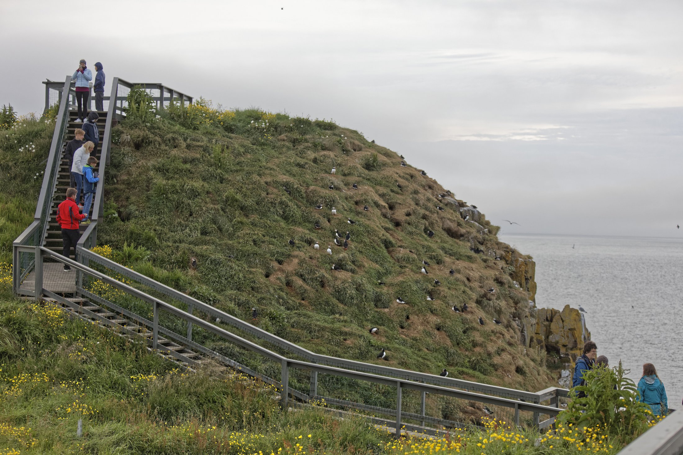 Höfn, Borgarfirði (eystri), Iceland.