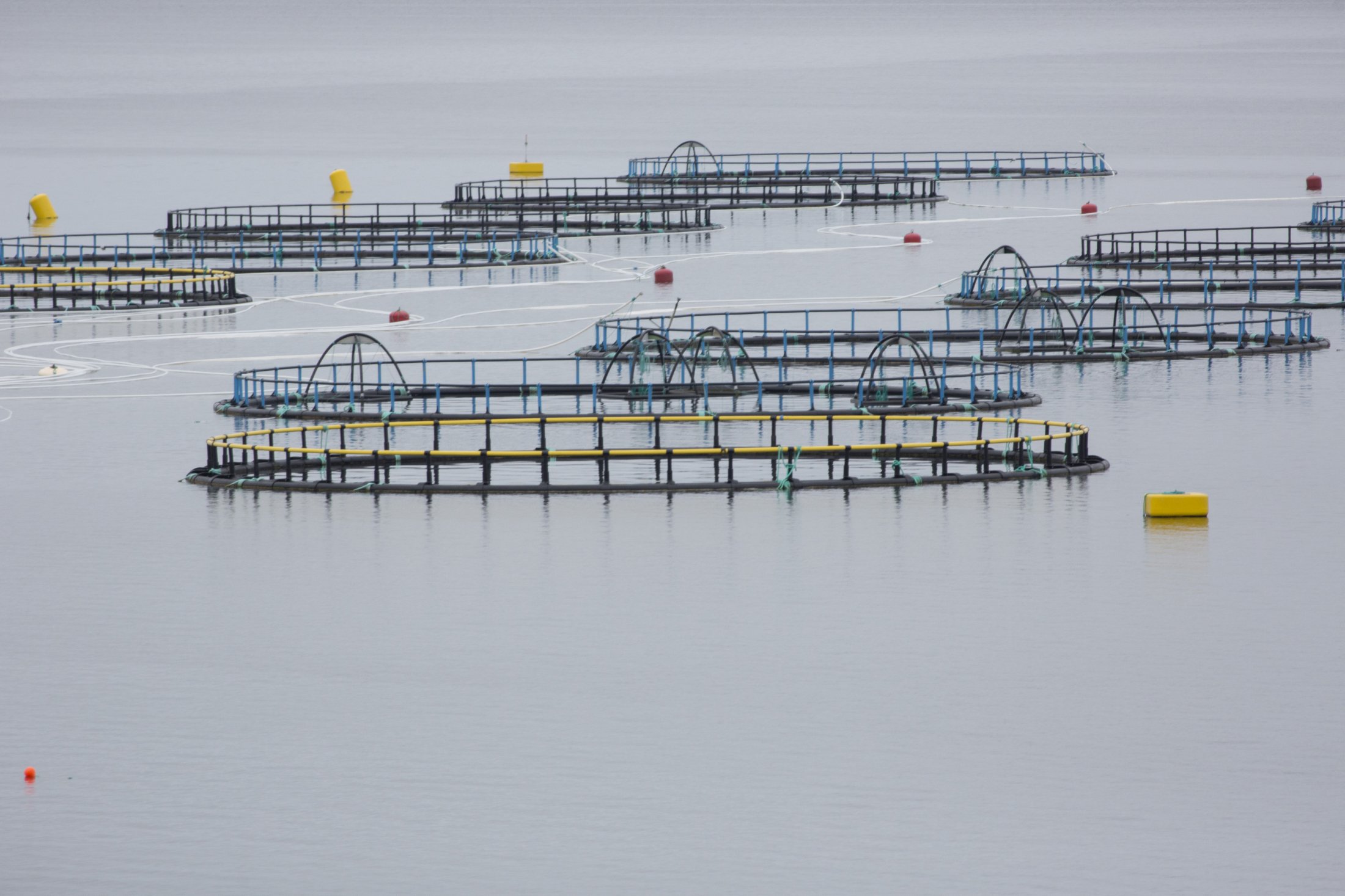 355, Vadsø, Norway.