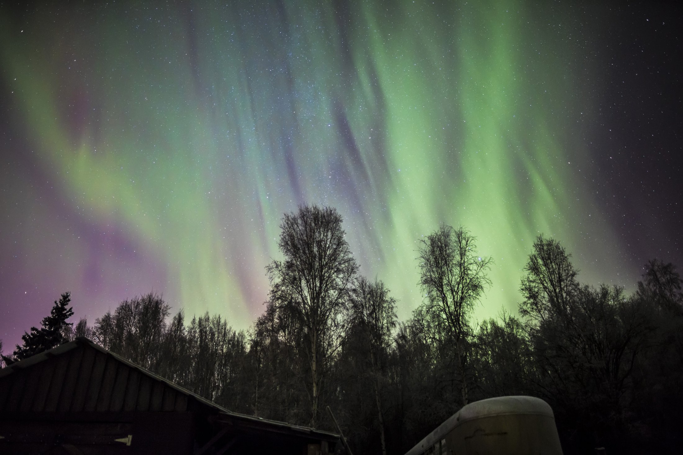 Aurora in Fairbanks, Alaska