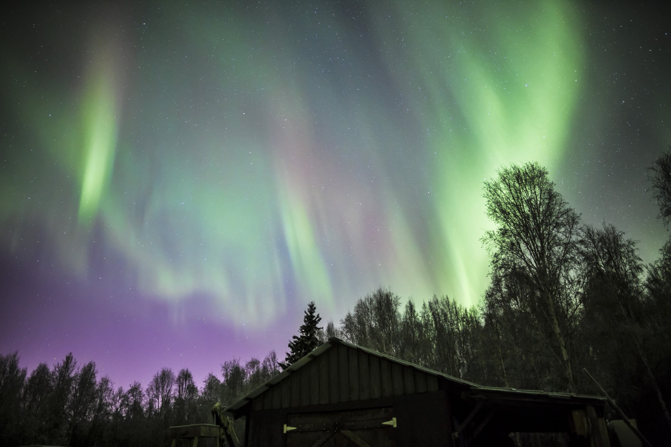 Aurora in Fairbanks, Alaska