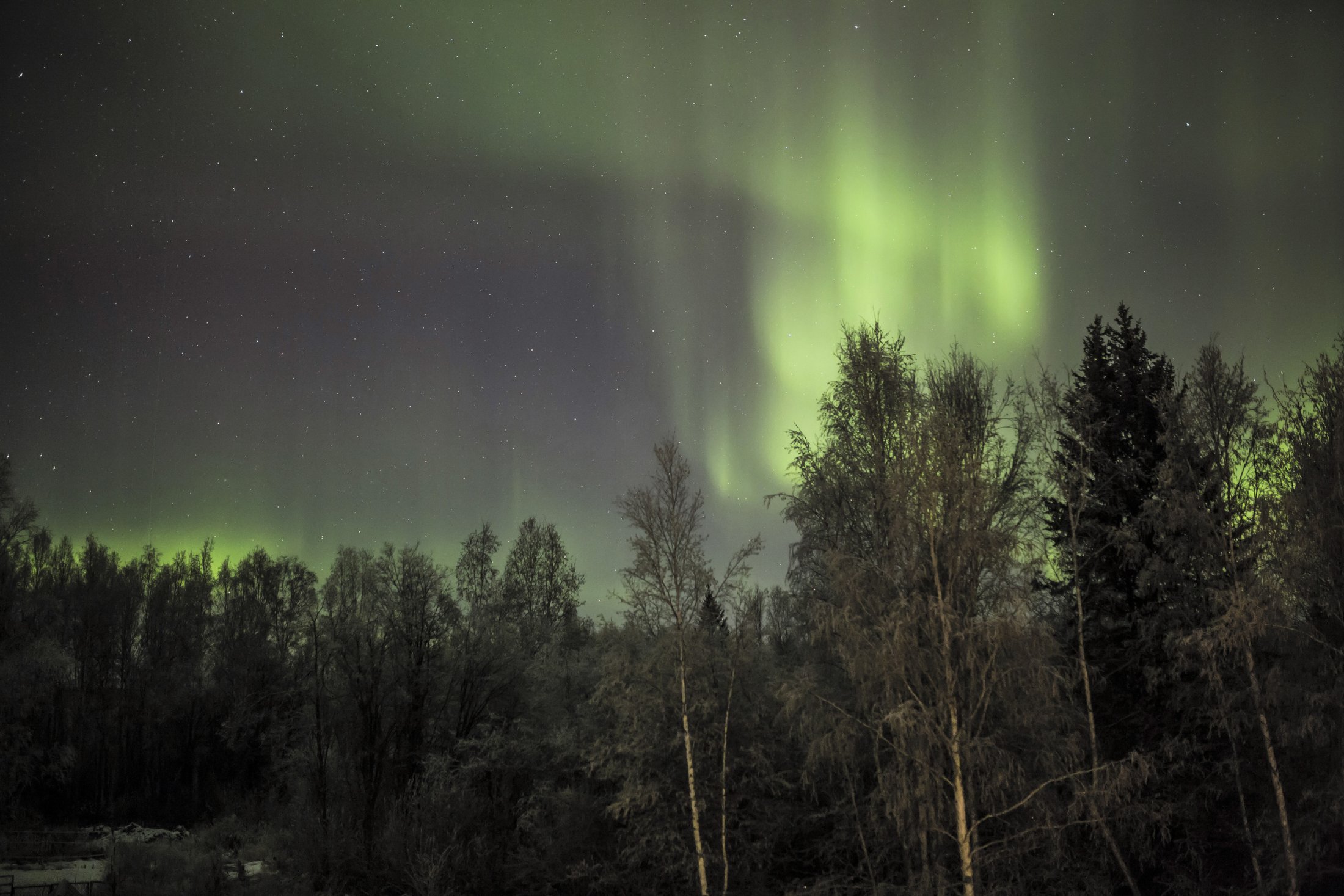 Aurora in Fairbanks, Alaska