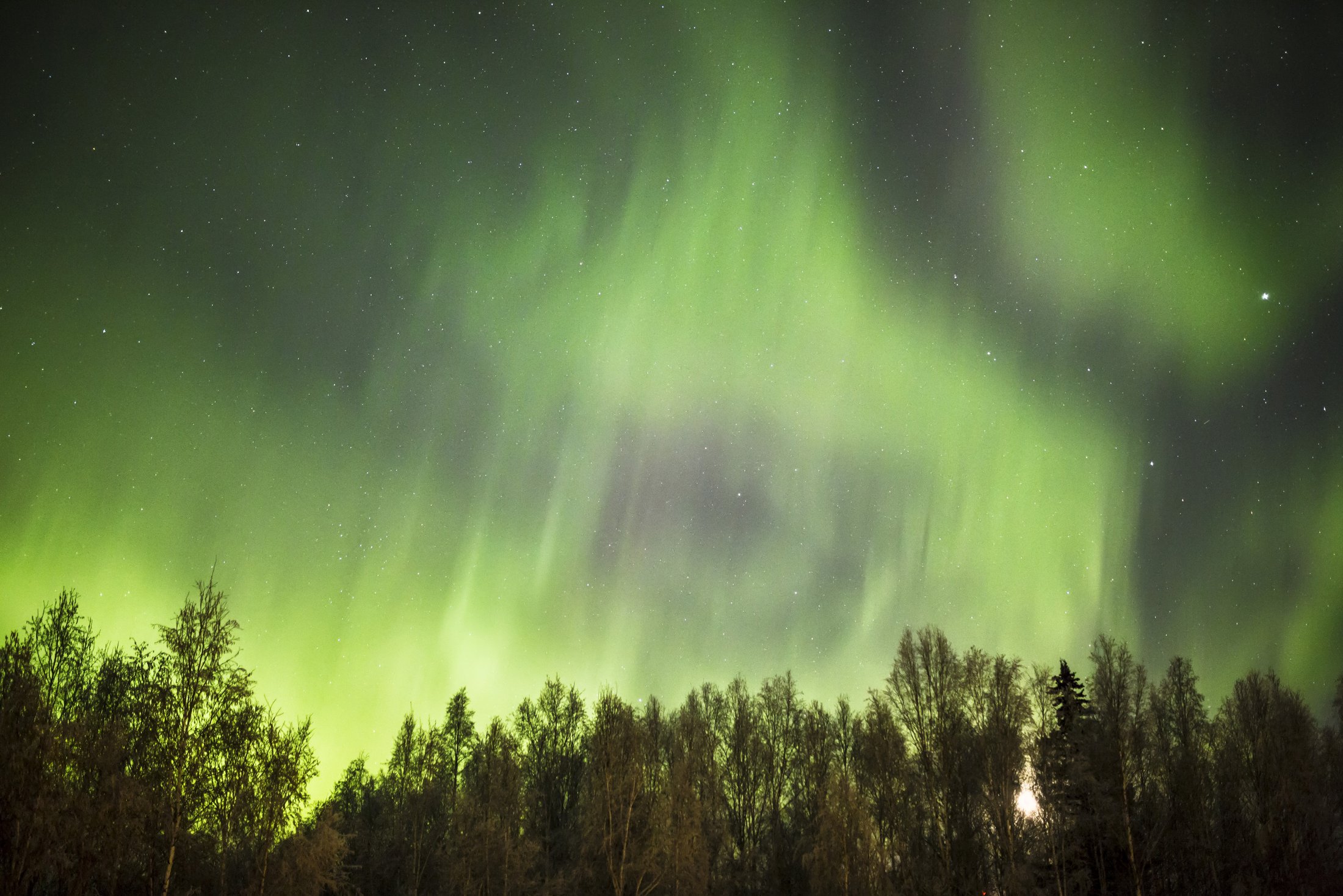 Aurora in Fairbanks, Alaska