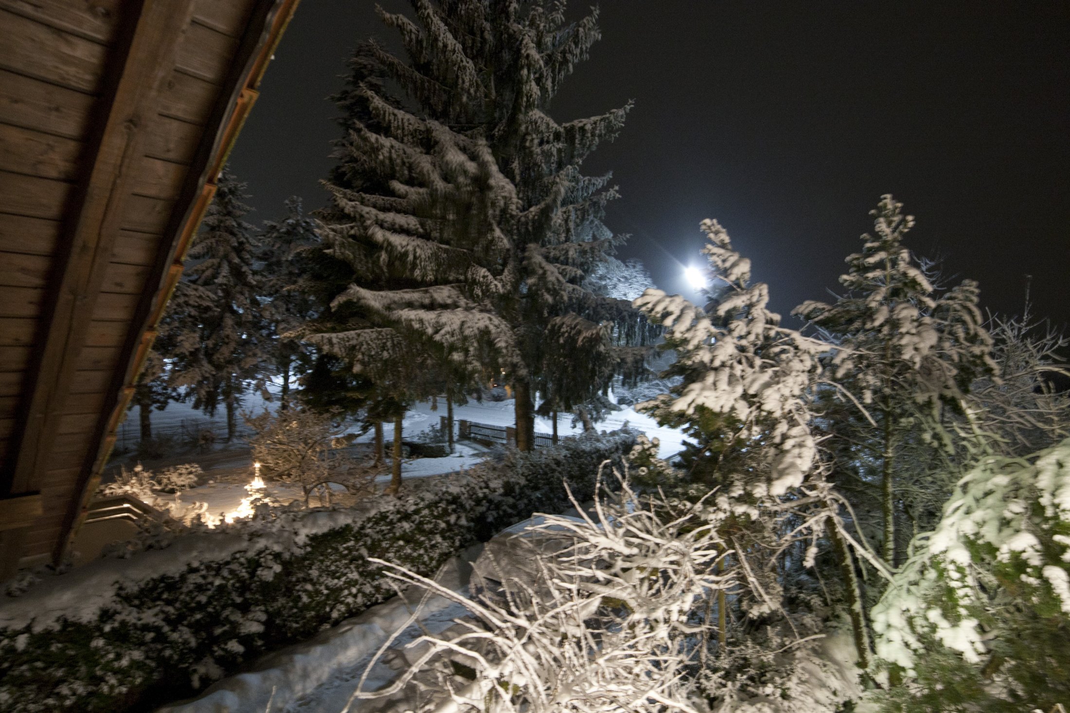 Winter in Geisling