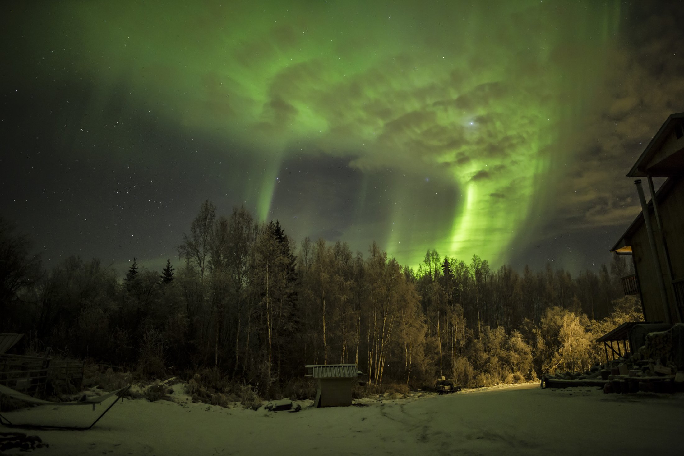 Aurora in Fairbanks, Alaska