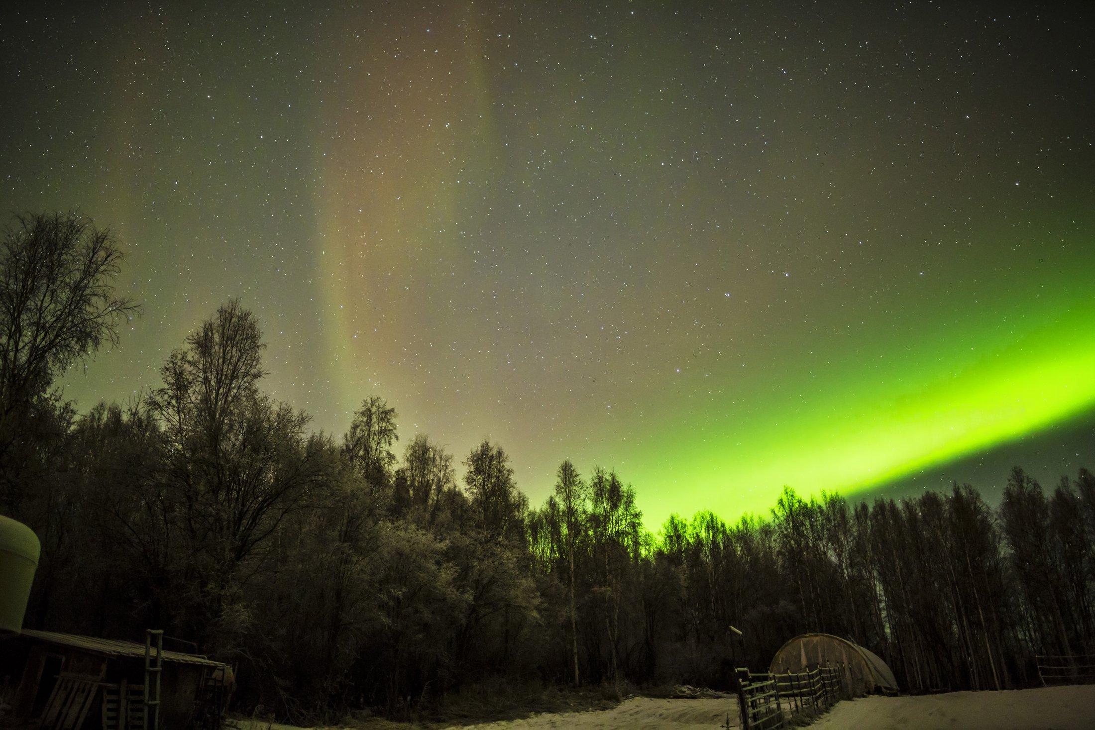 Aurora in Fairbanks, Alaska