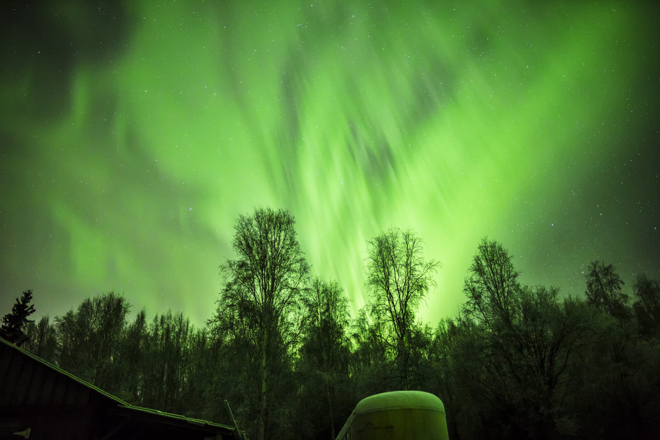 Aurora in Fairbanks, Alaska