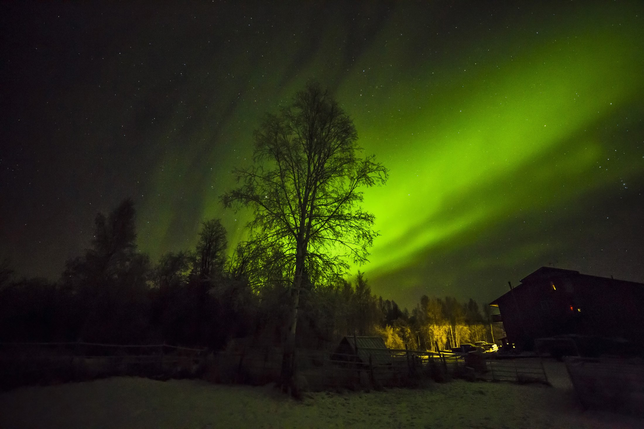 Aurora in Fairbanks, Alaska