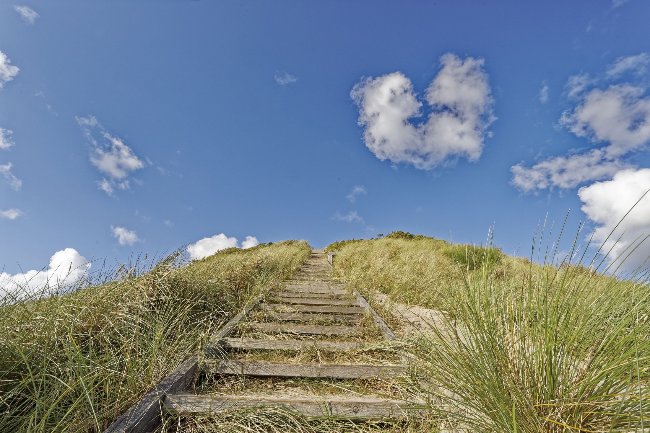 Hennestrand