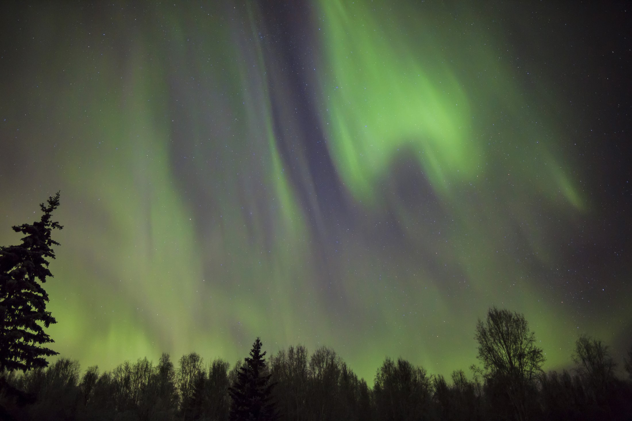 Aurora in Fairbanks, Alaska