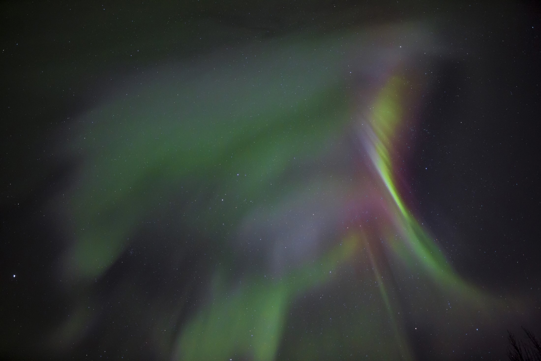 Aurora in Fairbanks, Alaska