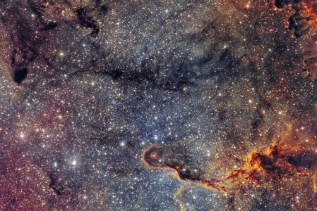 IC1396A Elephant's Trunk Nebula