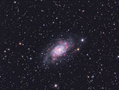 NGC 2403 iintermediate spiral galaxy in constellation Camelopardalis