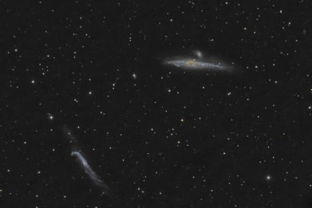 NGC4631 Whale Galaxy