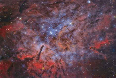 NGC6823 66
