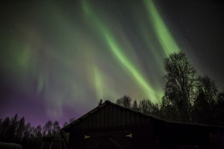 Aurora in Fairbanks, Alaska