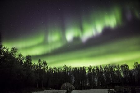 Aurora in Fairbanks, Alaska