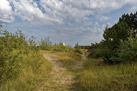 Skagen