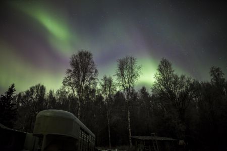 Aurora in Fairbanks, Alaska