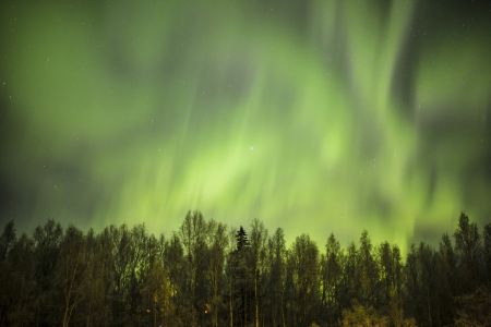 Aurora in Fairbanks, Alaska