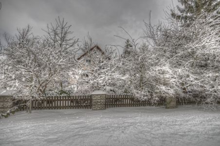 Winter in Geisling