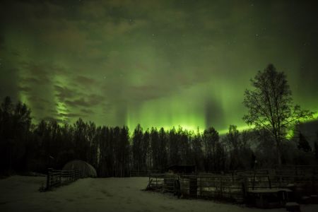 Aurora in Fairbanks, Alaska