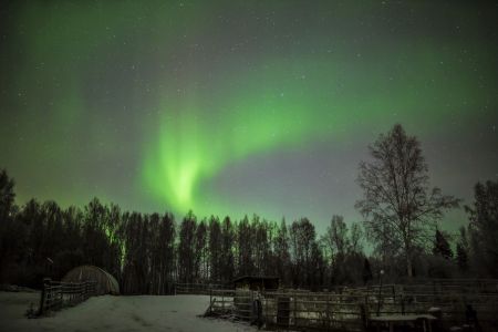 Aurora in Fairbanks, Alaska