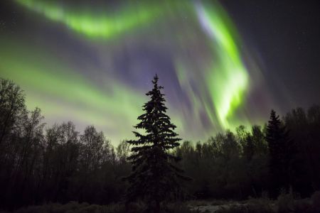 Aurora in Fairbanks, Alaska