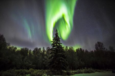 Aurora in Fairbanks, Alaska